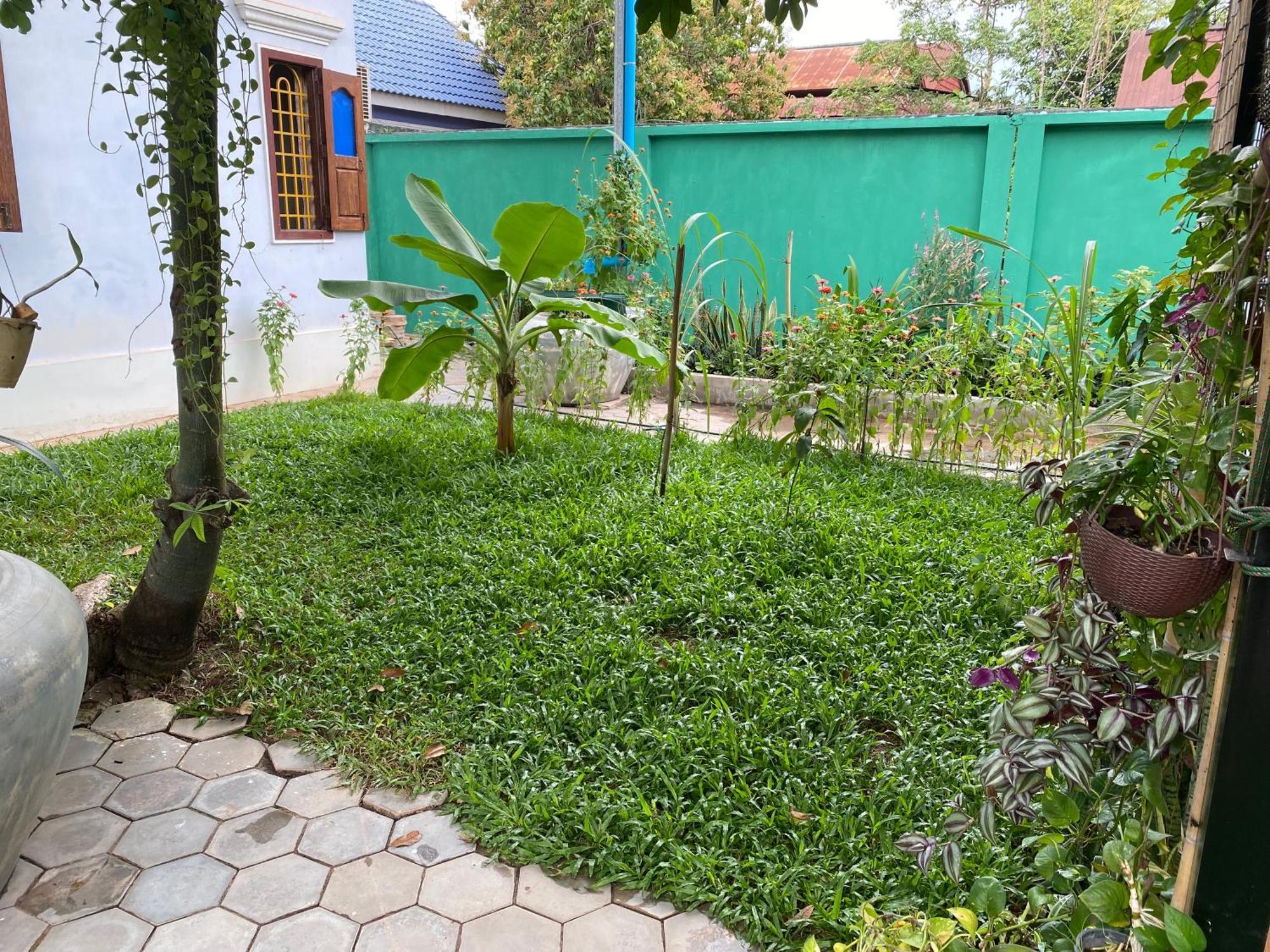 Bloom Garden Bed & Breakfast Siem Reap Eksteriør billede