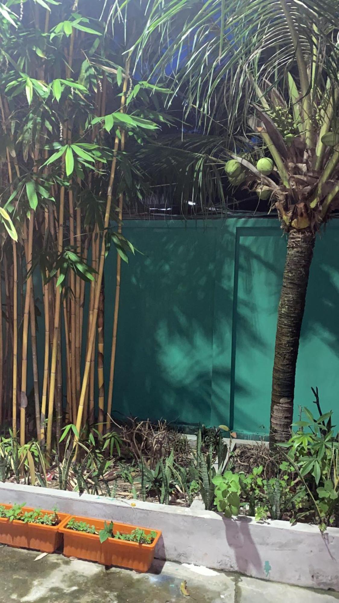 Bloom Garden Bed & Breakfast Siem Reap Eksteriør billede